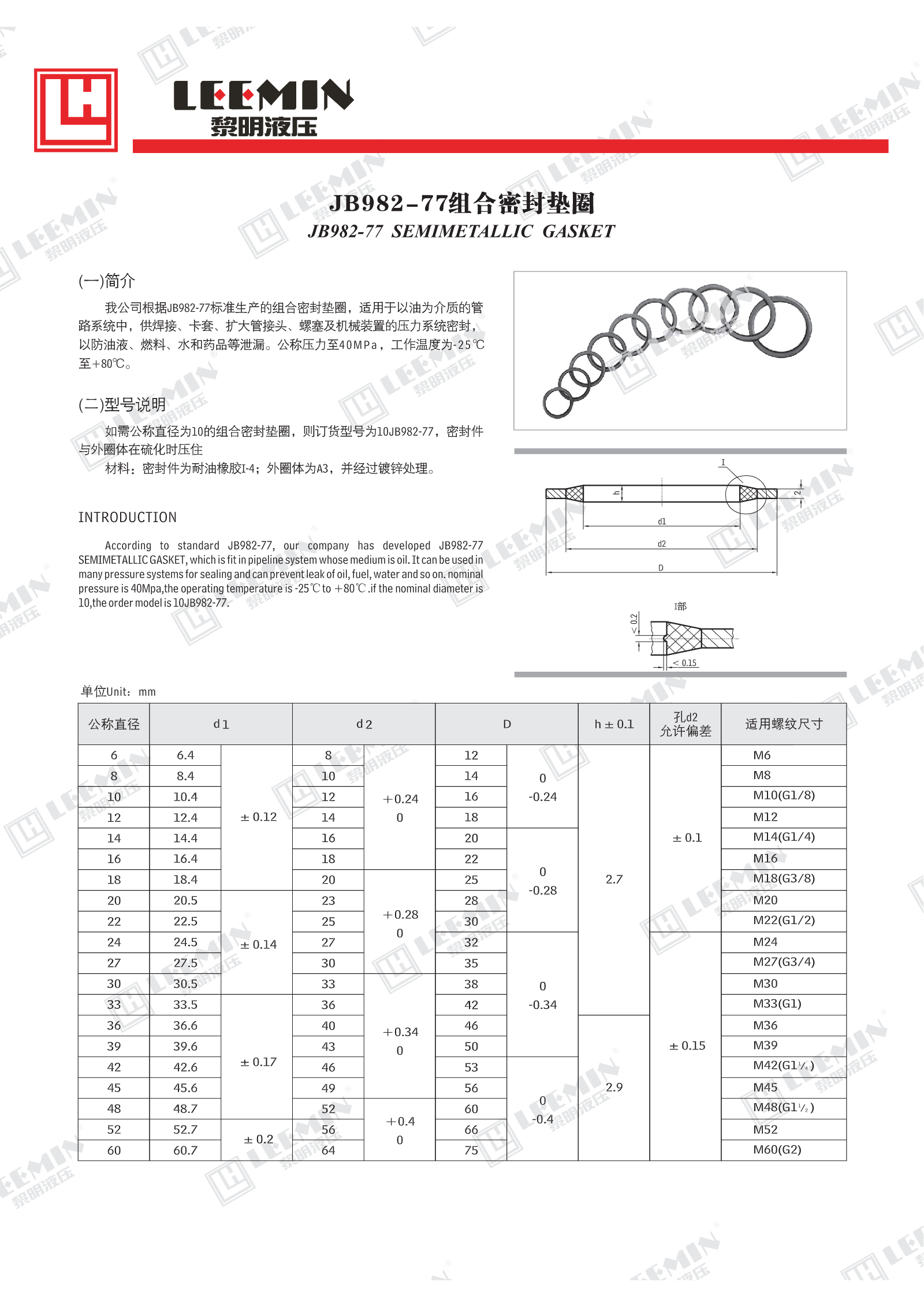 JB982-77组合密封垫_1.jpeg