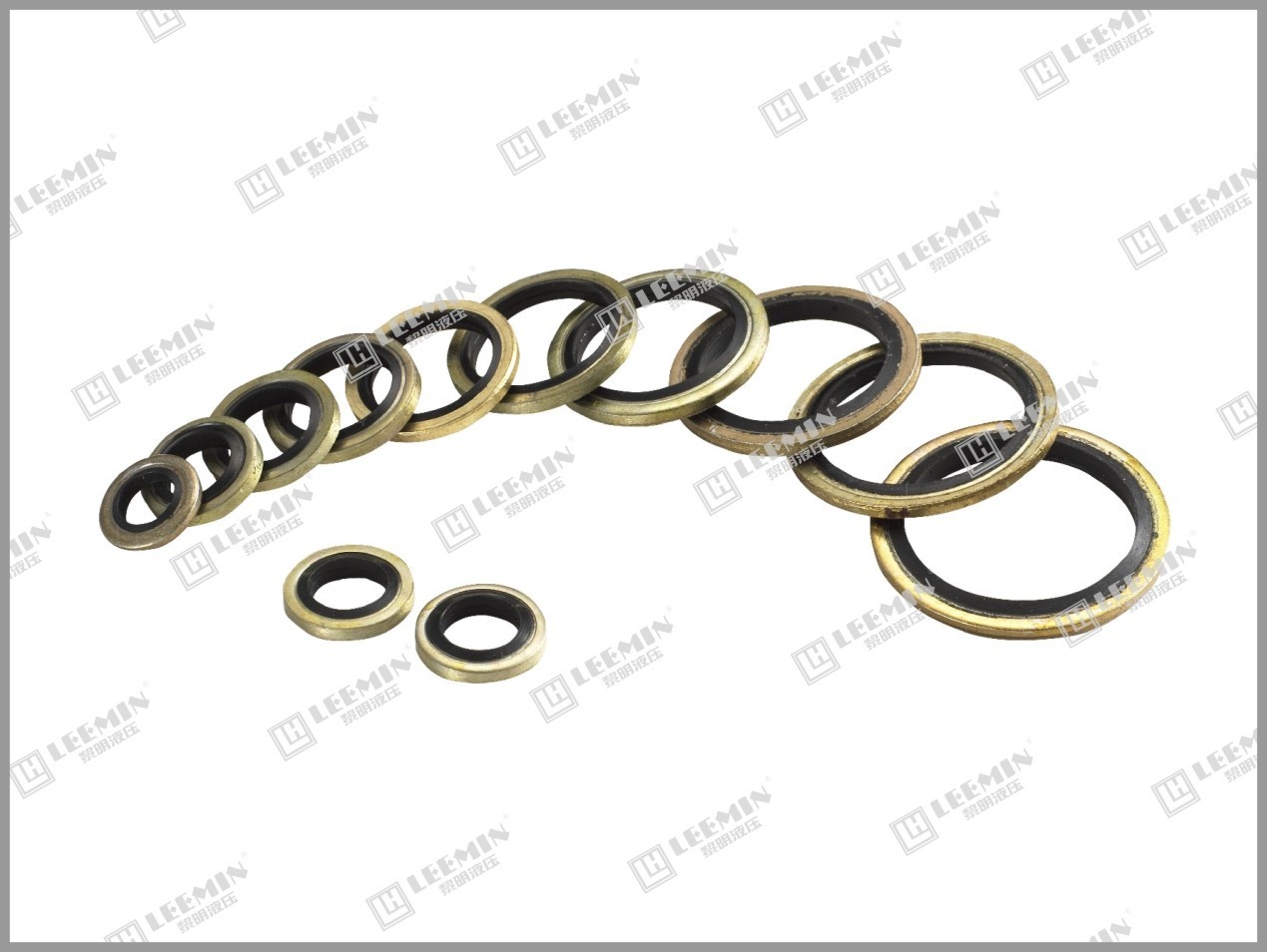 JB982-77 Combined seal washer