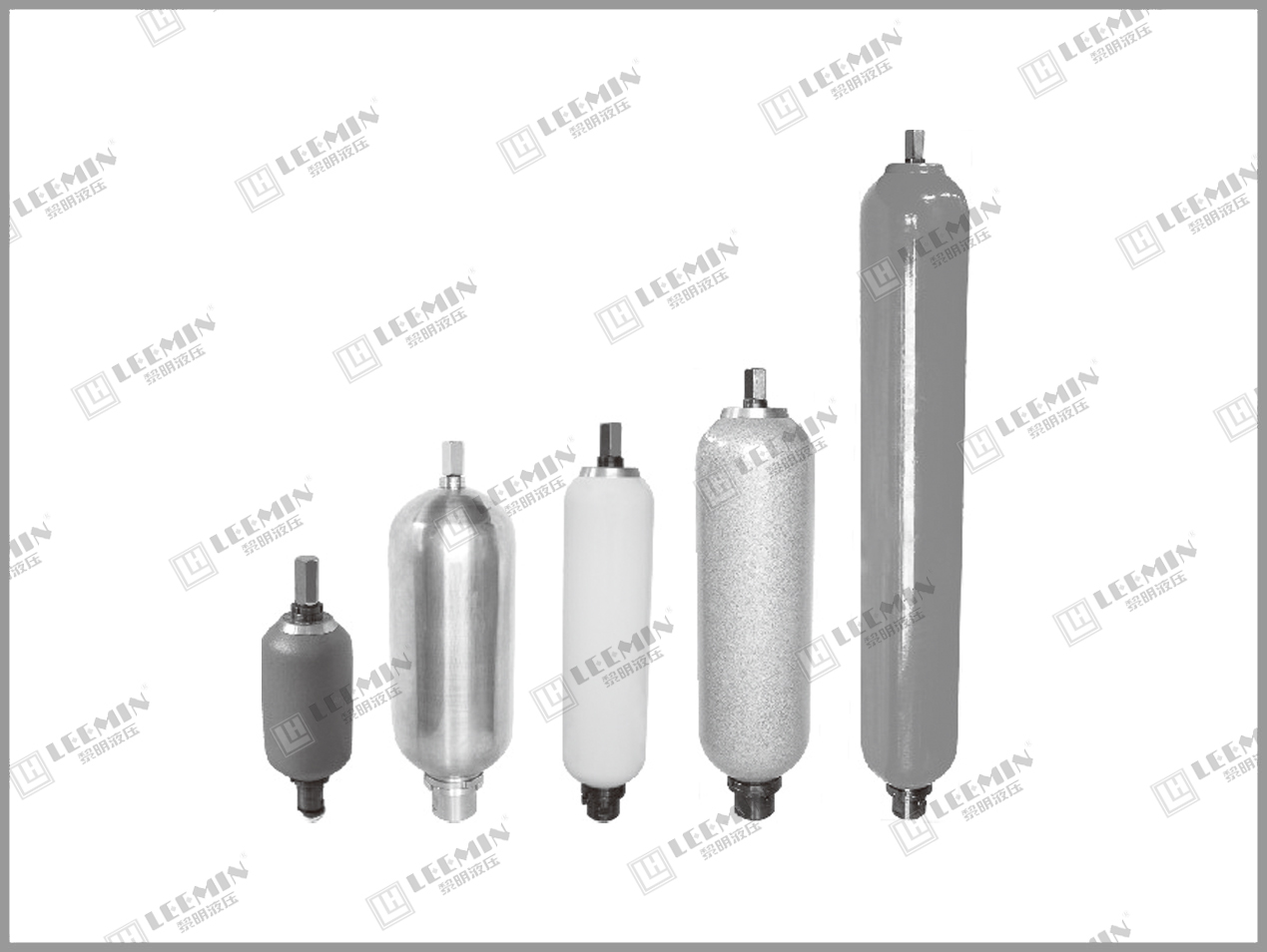 National standard bladder accumulator